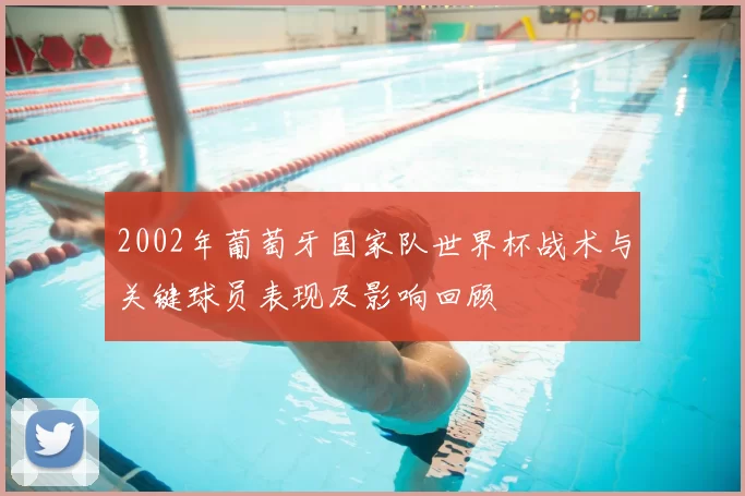 2002年葡萄牙国家队世界杯战术与关键球员表现及影响回顾