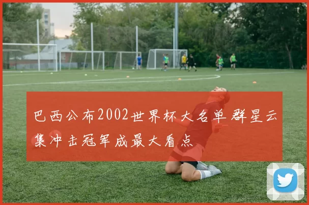 巴西公布2002世界杯大名单 群星云集冲击冠军成最大看点