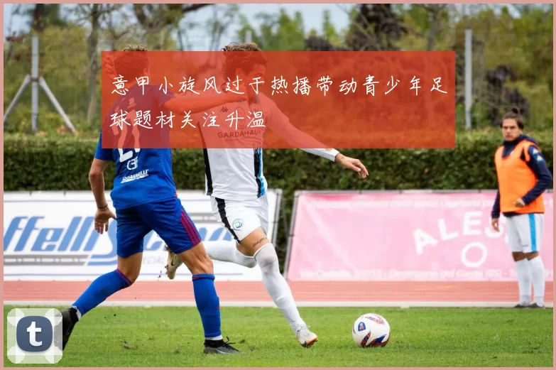 意甲小旋风过于热播带动青少年足球题材关注升温