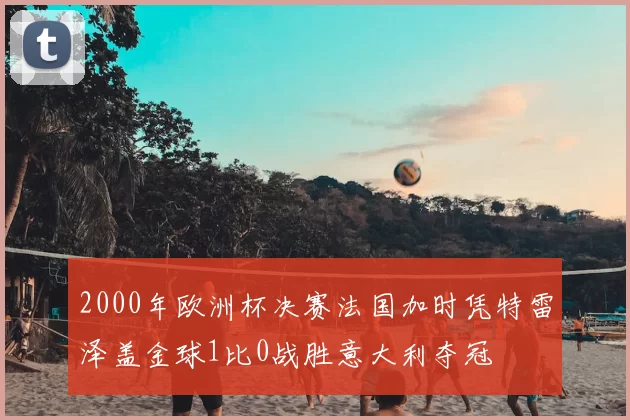 2000年欧洲杯决赛法国加时凭特雷泽盖金球1比0战胜意大利夺冠